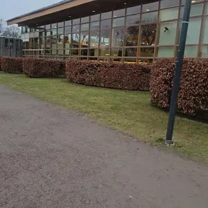 Linköping City Library - bild 2